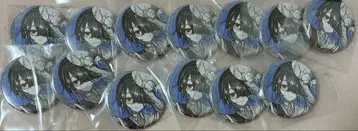 FGO 영기 소환 캔 배지 서복 13개