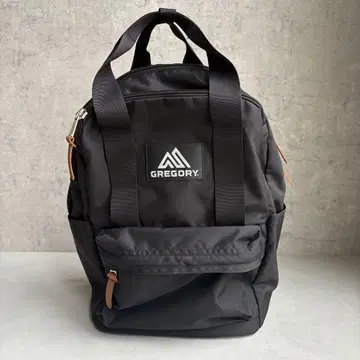그레고리 이지 피지 데이 PFM V2