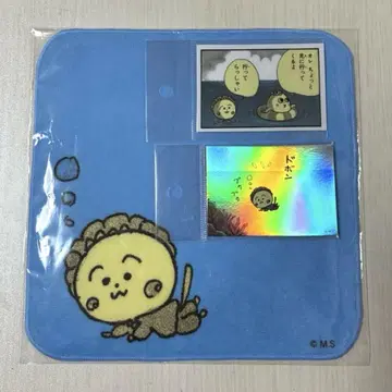 코지코지와 파르코의 여름 방학 스티커와 손수건 세트