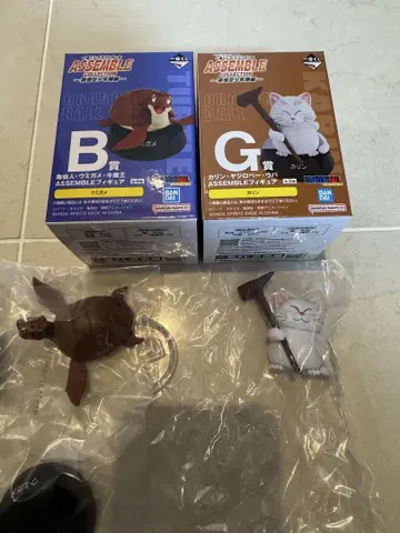 카린, 바다거북 2개 세트
