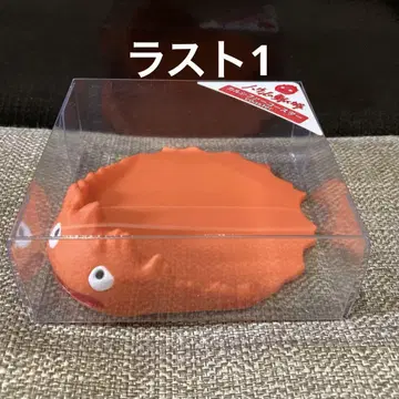 칼시퍼 코스터