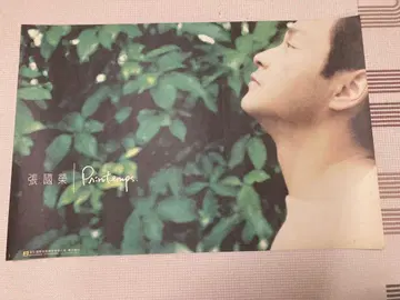 장국영 포스터