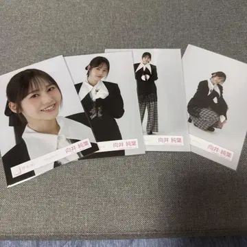 사쿠라사카 46 생사진 4종 세트 클래식 코디 무카이 준하