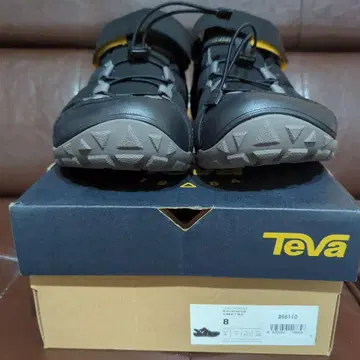 Teva M FLINTWOOD