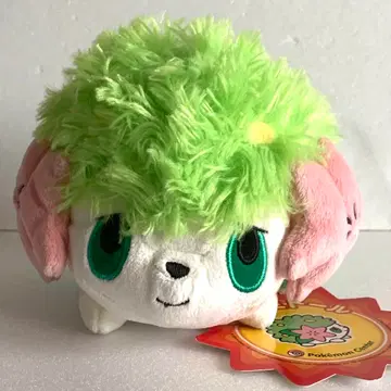 포켓몬 센터 쉐이미 봉제인형 인형 마스코트 2008 포켓돌