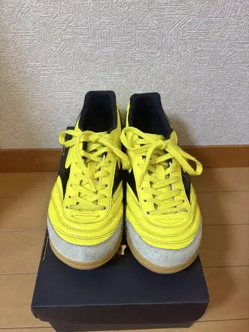 모렐리아 in