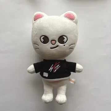 스트레이키즈 스키즈 SKZOO 현진