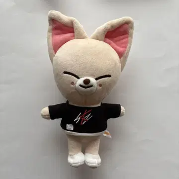 StrayKids 스키즈 SKZOO 아이엔