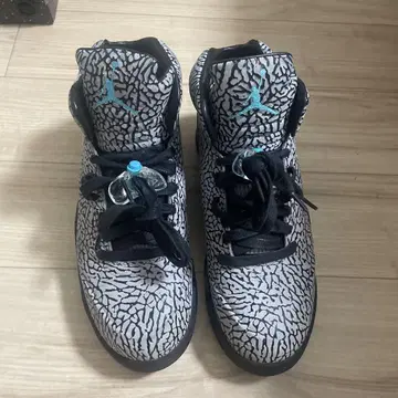 AIR JORDAN 3LAB5 28cm