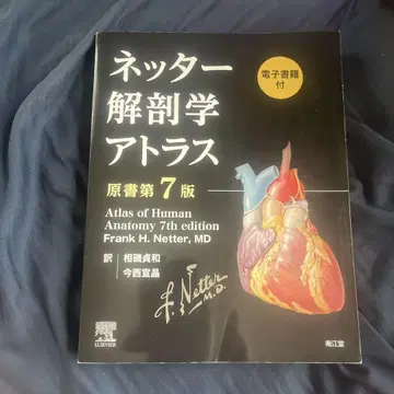 네터 해부학 아틀라스