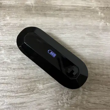 포켓몬 GO 오토 캐치