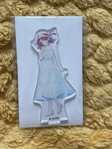 카라피치 노아 아쿠스타 도쿄 돔 시티 여름 휴가 카라피치