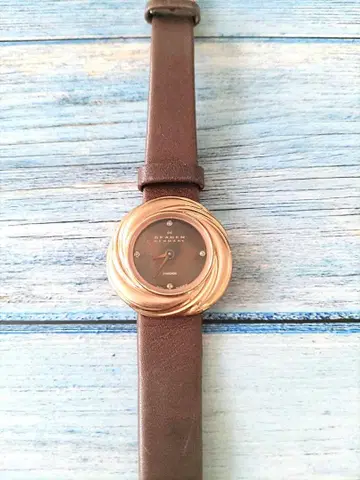 SKAGEN 시계 모델 번호 885SRLD