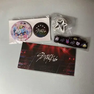 스키즈 straykids 돔 투어 2023 업그레 혜택