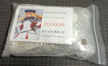 Fate/Grand Order 아르토리아 캐스터