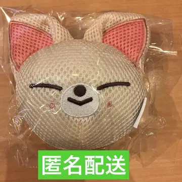 Stray Kids popup 스키즈 사우나 바디 스펀지 폭시니