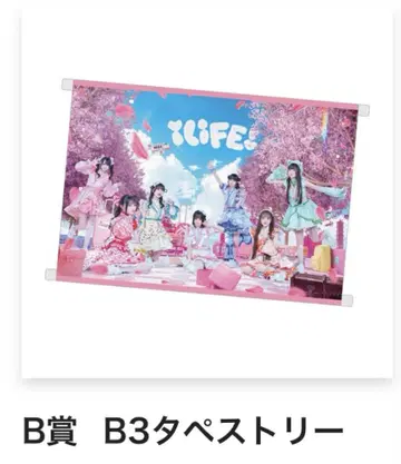 iLiFE! 가라폰 B3 타페스트리