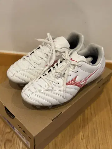 Mizuno Monarcida 모나르시다 NEO 3