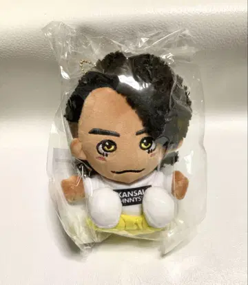 치비누이 리차
