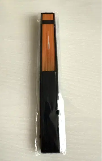 INI 오자키 타카미