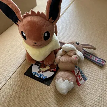 포켓몬 이브이 봉제 인형 세트
