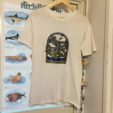 70s BELTON 택 글리터 프린트 별자리
