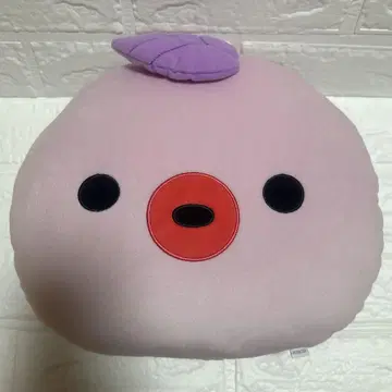 크레이비티 크레비티 CCREW 쿠쿠르 다콘 원진 쿠션
