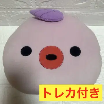 크레이비티 크레비티 CCREW 쿠쿠르 다콘 원진 쿠션