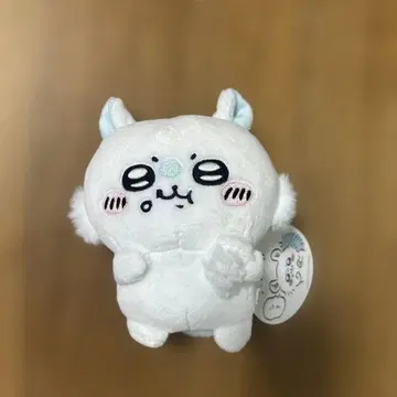 치이카와 모모가와 함께 인형 모모가