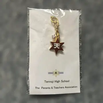 천왕사 고등학교 키링