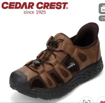 CEDAR CREST 스파트 슈즈 스포츠 샌들 25.0cm 브라운