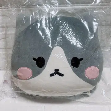 SHINee 태민 팝업 모치 쿠션