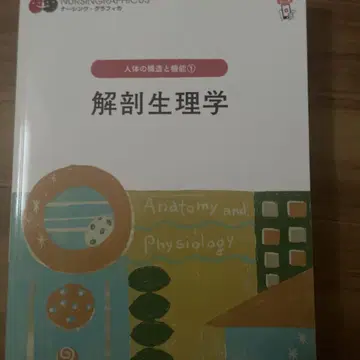 해부생리학