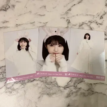 노기산 46 생사진 토리 나오 띠 토끼 세트