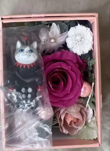 히구치 유코 캡슐 토이 구스타프 군 익명 배송