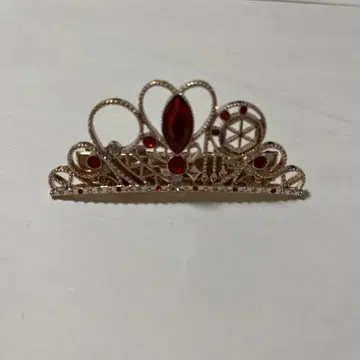 이레이스 리우라 티아라