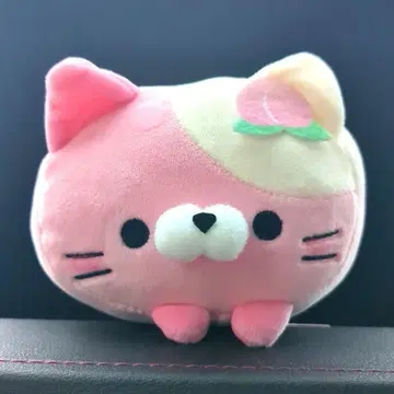 모치후와! 굴러가는 고양이 야마나시 한정 피치냥