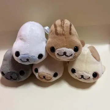 산엑스 마메고마 마그넷 인형 5개 세트