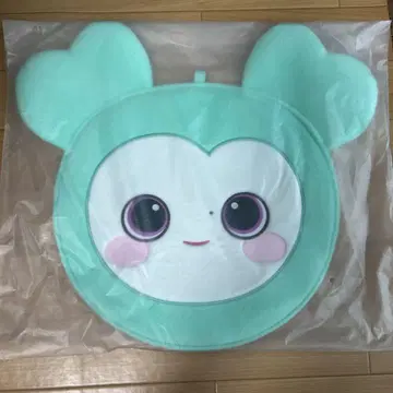 TWICE의 부채 케이스입니다.
