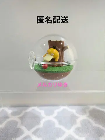 포켓몬 테라리움 코다크