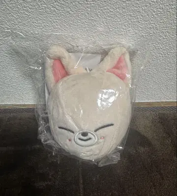 straykids 아이엔 폭시니 공식 백참