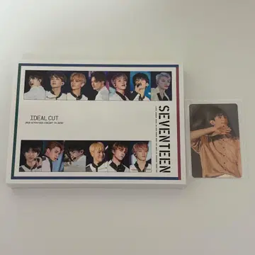 SEVENTEEN 이상적인 컷 DVD 도기움 트레이딩 카드
