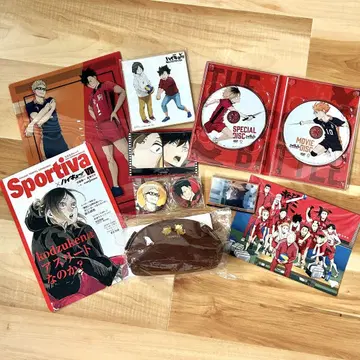 하이큐: 쓰레기 처리장의 결전 DVD 특별판 (보너스 콘텐츠 포함)