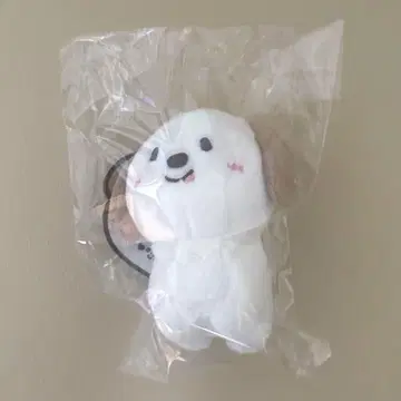 RIIZE 안톤 몬리옹이 10cm 인형 키링
