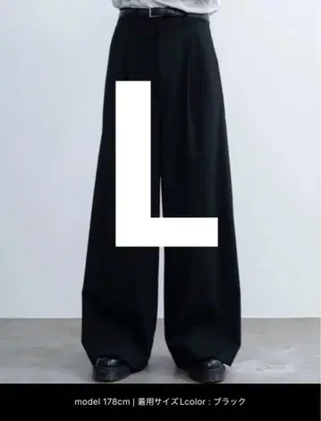 sinss 스트라이프 슬랙스