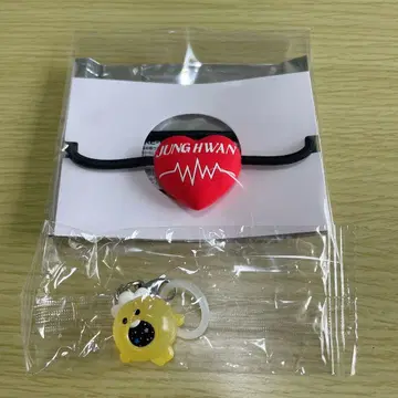 트레저 존 헤어 밴드 트루즈 표시 포동 팝업