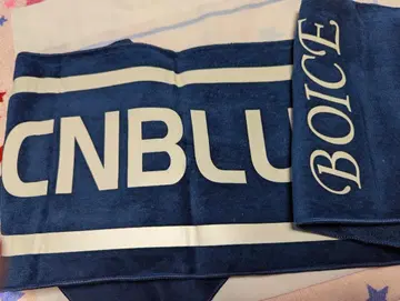CNBLUE BOICE 슬로건