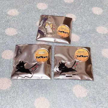 하이큐!! 켄마네코 크로오네코 아쿠스타