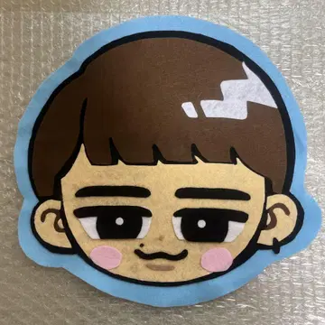 와타나베 쇼타 스노 치르 펠트