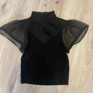 ZARA 어깨 프릴 시어 반팔